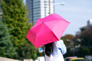 Waterfront / PENHOSO Folding Umbrella